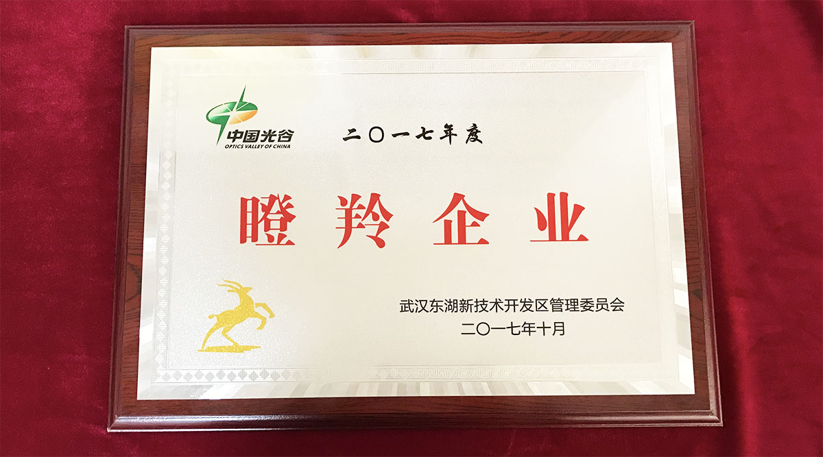 祝賀武漢邁信電氣技術(shù)有限公司榮獲中國光谷2017年度“瞪羚企業(yè)”！